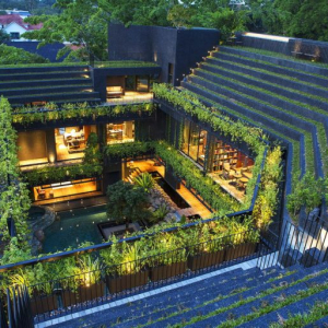 THIẾT KẾ CẢNH QUAN “XANH” – CORNWALL GARDENS