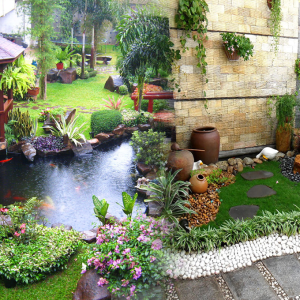 NHỮNG THÔNG TIN BỔ ÍCH CHO NGƯỜI MỚI CHƠI TIỂU CẢNH SÂN VƯỜN