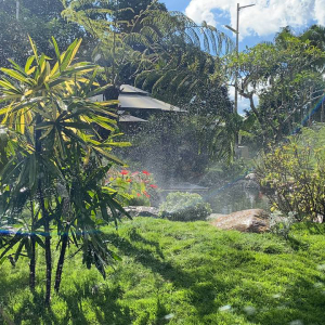 Thi Công Cảnh Quan Sân Vườn tại Lâm Đồng