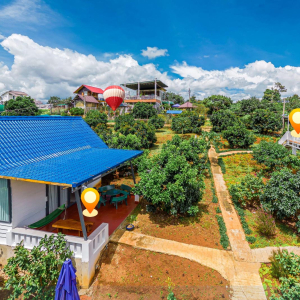 “Avocado Farm” - du lịch nông thôn cùng các sản phẩm OCOP