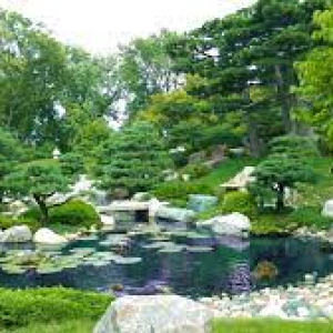 XU HƯỚNG THIẾT KẾ CẢNH QUAN SÂN VƯỜN ĐANG LÊN NGÔI HIỆN NAY