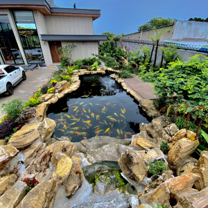 Dự Án Xuyên Mộc Bà Rịa Vũng Tàu