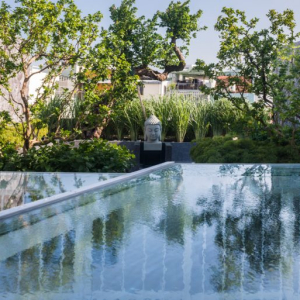 NHÀ PHỐ GIỐNG NHƯ ỐC ĐẢO XANH Ở NHA TRANG