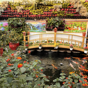 Thi Công Cảnh Quan Cho Sân Vườn Gia Đình