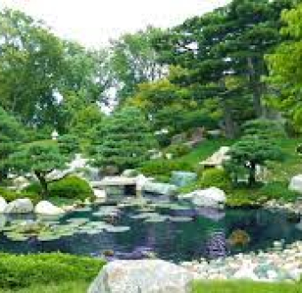 XU HƯỚNG THIẾT KẾ CẢNH QUAN SÂN VƯỜN ĐANG LÊN NGÔI HIỆN NAY