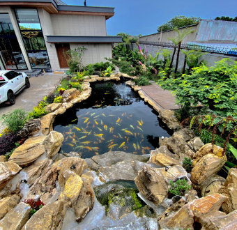 Dự Án Xuyên Mộc Bà Rịa Vũng Tàu