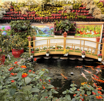 Thi Công Cảnh Quan Cho Sân Vườn Gia Đình