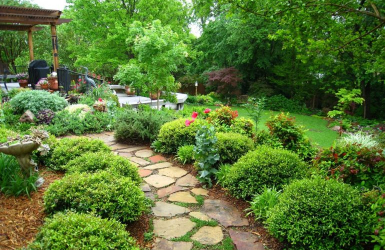 TRẺ HÓA KHÔNG GIAN BẰNG CÂY XANH