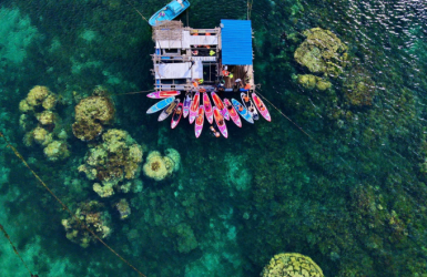 Chèo SUP và lặn ngắm san hô ở đảo Phú Quý