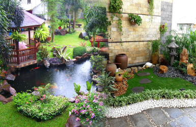 NHỮNG THÔNG TIN BỔ ÍCH CHO NGƯỜI MỚI CHƠI TIỂU CẢNH SÂN VƯỜN