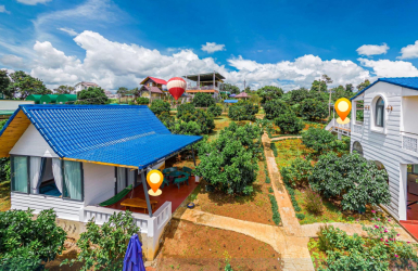“Avocado Farm” - du lịch nông thôn cùng các sản phẩm OCOP