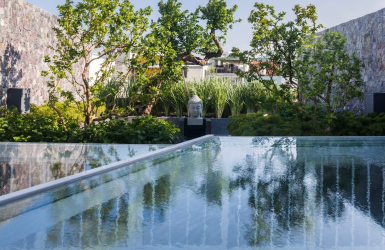 NHÀ PHỐ GIỐNG NHƯ ỐC ĐẢO XANH Ở NHA TRANG