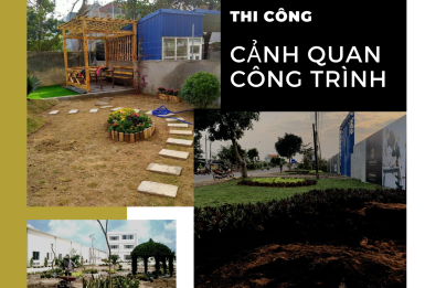 Thi Công Cảnh Quan