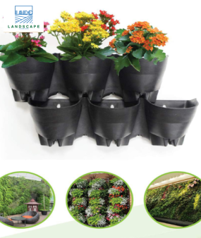 Hệ vườn đứng chậu liền 3 tự tưới JupiWall-05