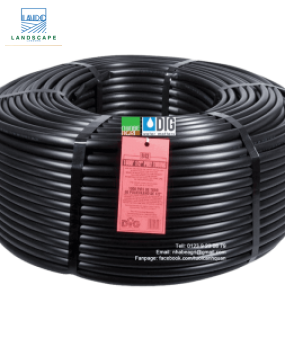 Ống Dẫn Nước PE