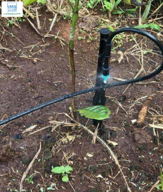 Ống PE Poly micro tubing 4x6mm DIG (cuộn 900m)