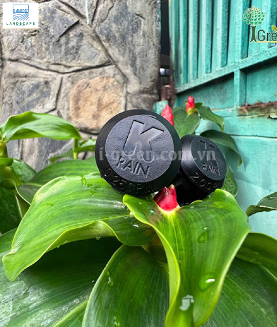 Béc tràn Bubbler bù áp tưới gốc 2.0GPM KRain-Mỹ