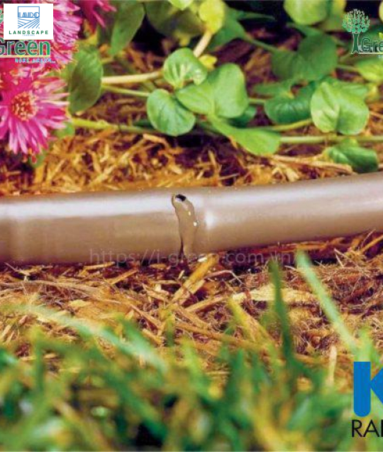 Ống tưới nhỏ giọt cho sân vườn KRain – Mỹ phi 16mm