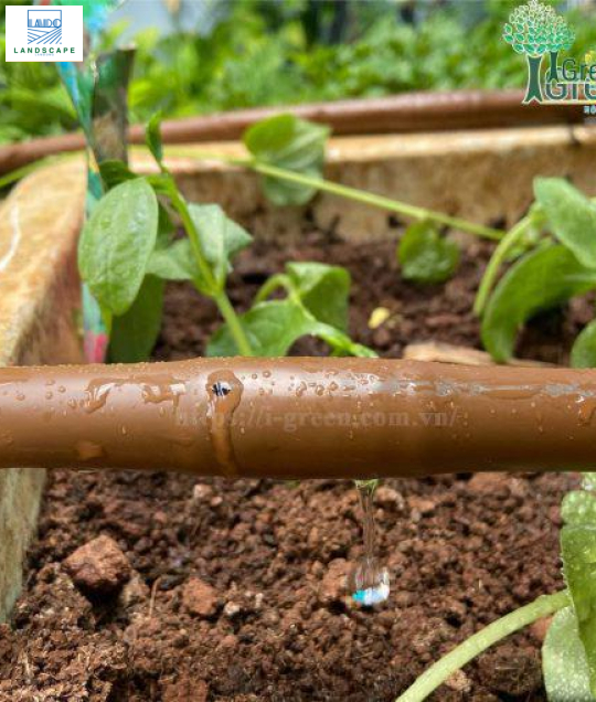 Ống tưới nhỏ giọt cho sân vườn KRain – Mỹ phi 16mm