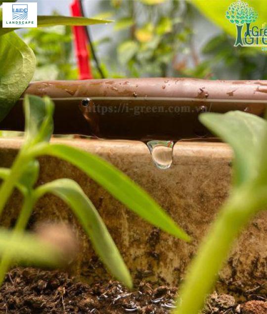 Ống tưới nhỏ giọt cho sân vườn KRain – Mỹ phi 16mm